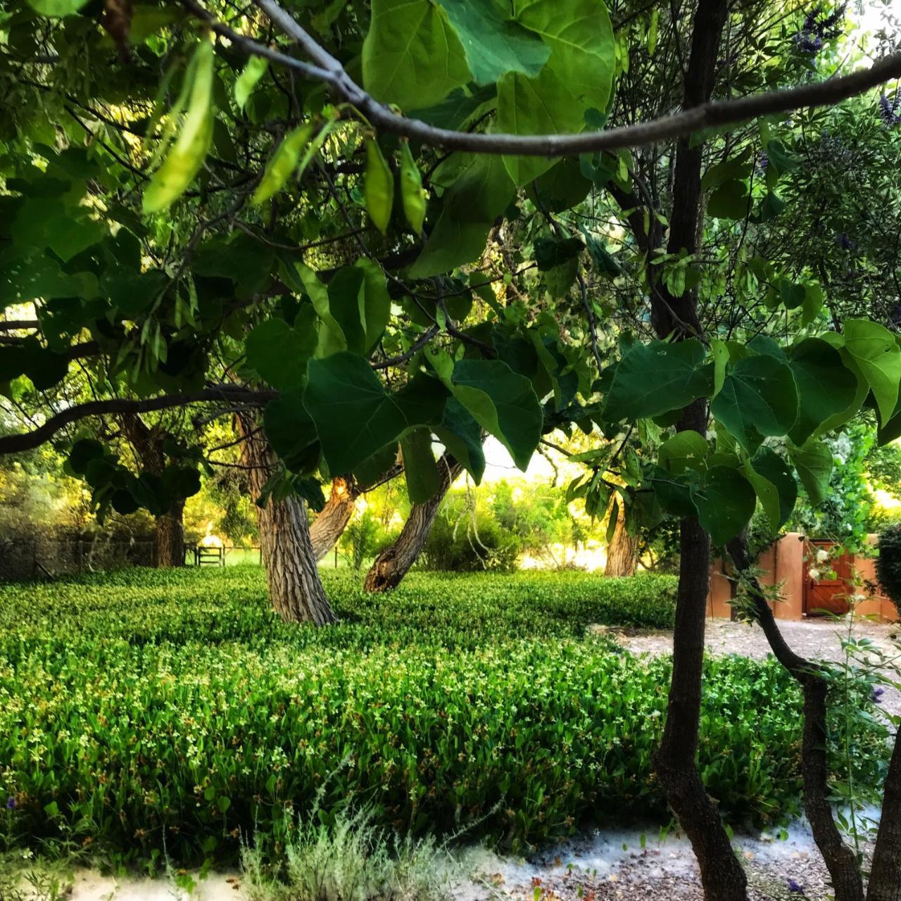 Morning Star Bed & Breakfast Of Corrales Kültér fotó